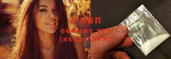 ECSTASY Заводоуковск