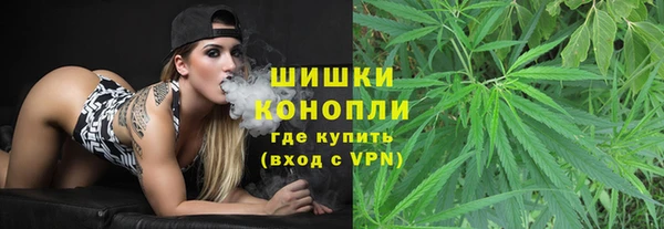 гидропоника Ельня
